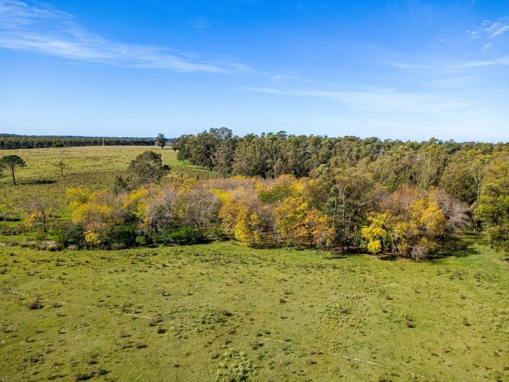 Venta de campo con 6 Ha. en Rincón de Pando