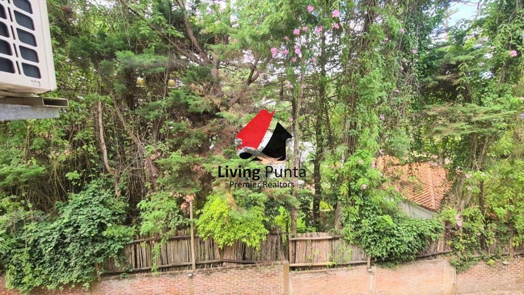 APARTAMENTO EN ROOSEVELT