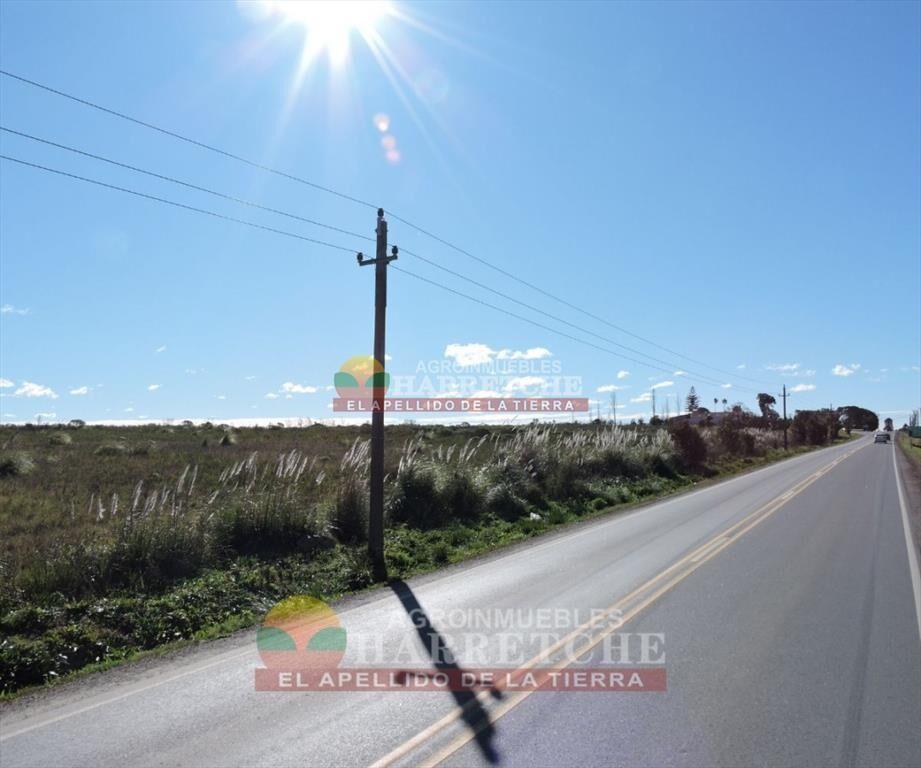 Chacra en venta 7 has sobre Ruta, Canelón Chico