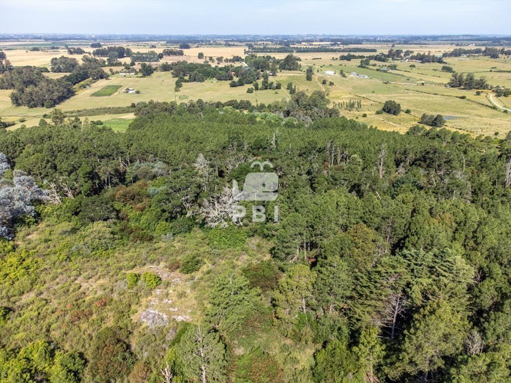 Chacra en venta en Laguna del Sauce, Punta - Ref