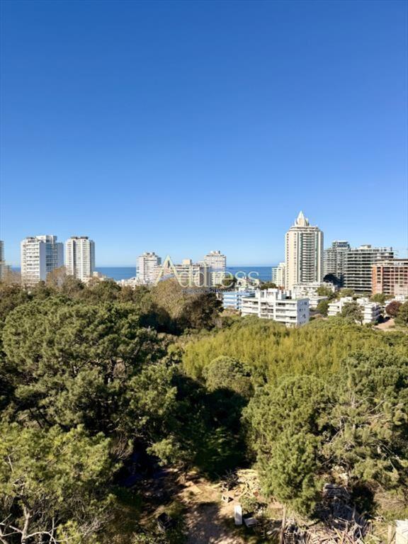 APARTAMENTO EN VENTA EN BRAVA, PUNTA DEL ESTE