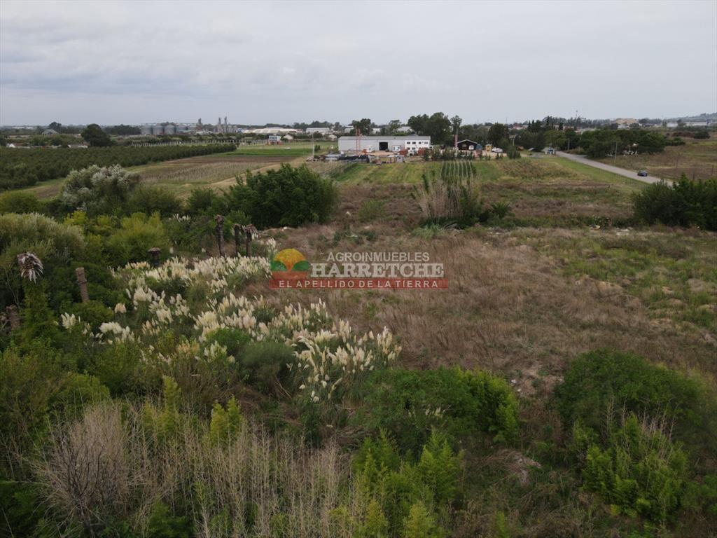 Terreno en Paso de la Arena, 15.789 m2, excelente