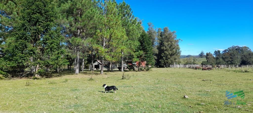 Buen campo agrícola, muy bien ubicado. 83 Has