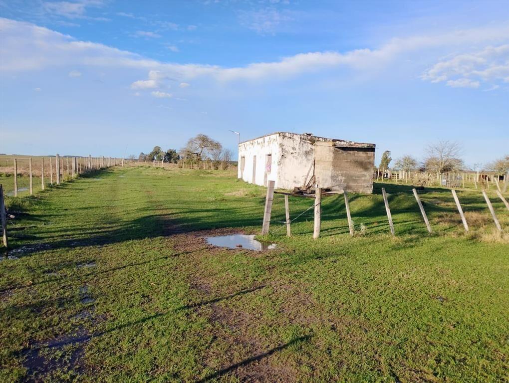 VENTA DE CHACRA 8 HAS. EN PAYSANDU