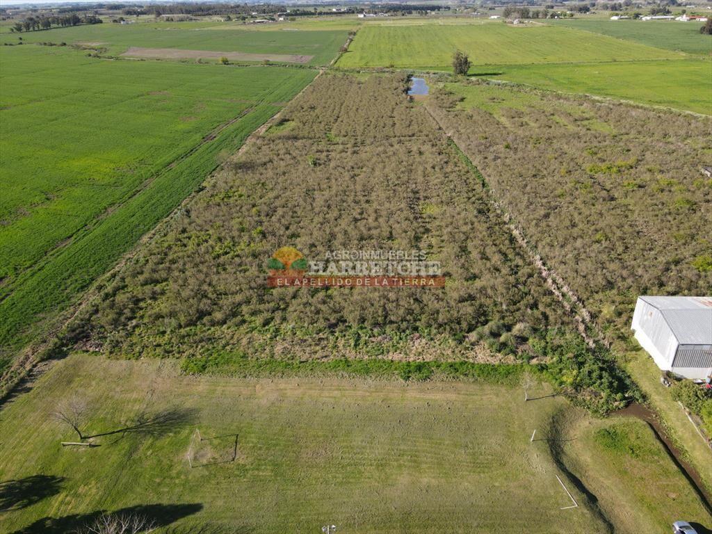 Terreno urbano en Progreso, 10.194 m2 a 600 m de