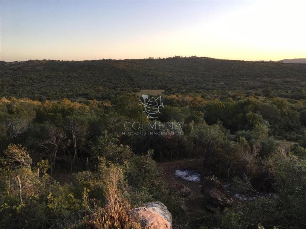 Campo 5 has con 333 m2 en paraje La Coronilla