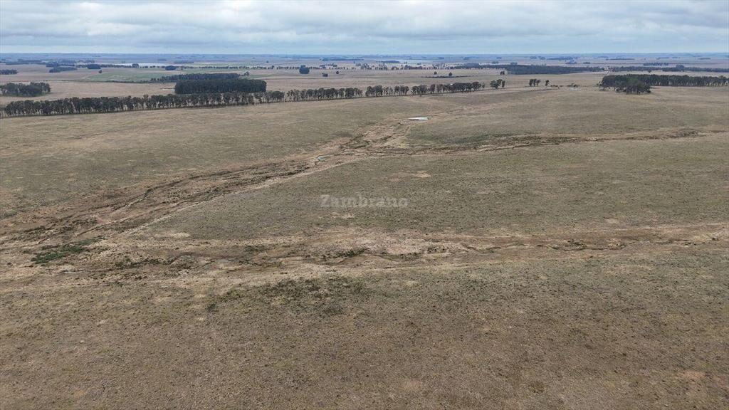 Estancia Ganadera Agrícola 1700 ha en Treinta y Tres