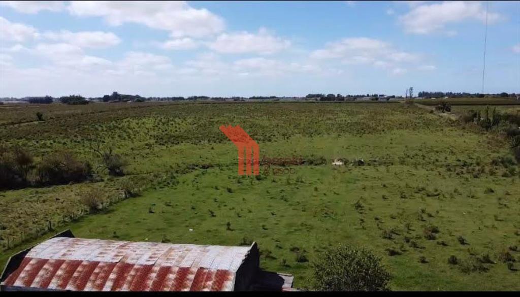 Venta de chacra productiva Excelente índice 193