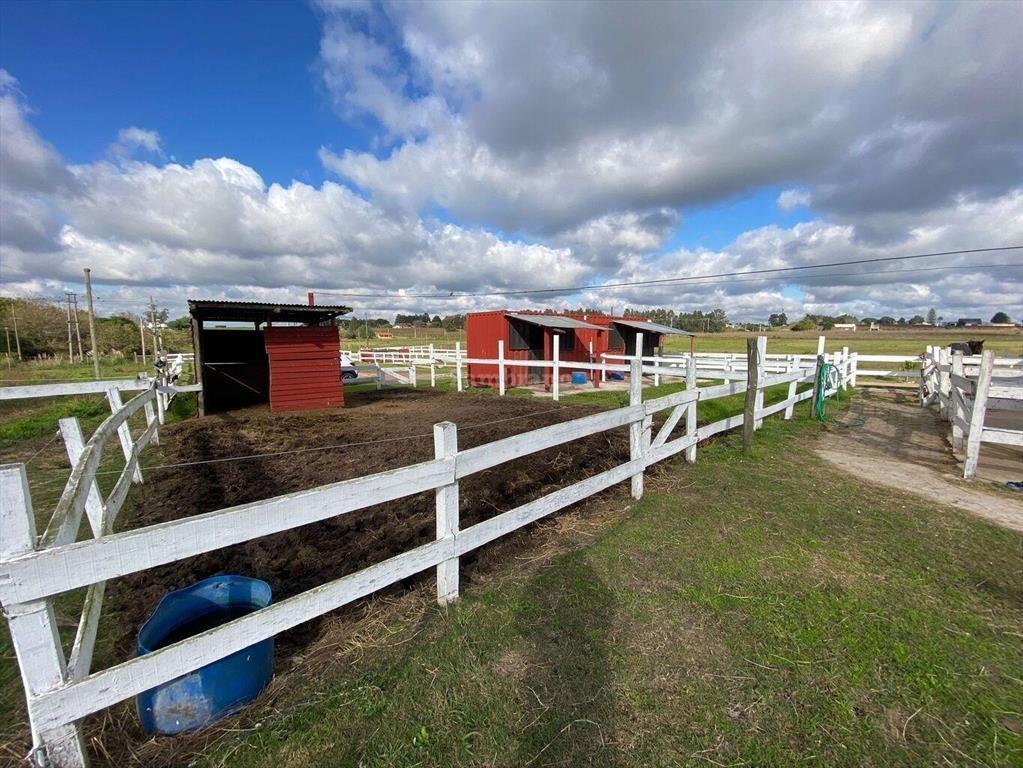 Venta de Centro Ecuestre de 6 ha I Montevideo