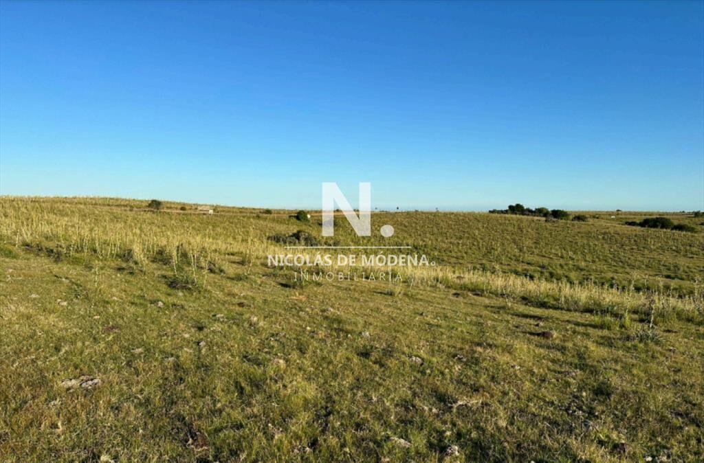 Vende campo de 42 has, en Maldonado Garzon.