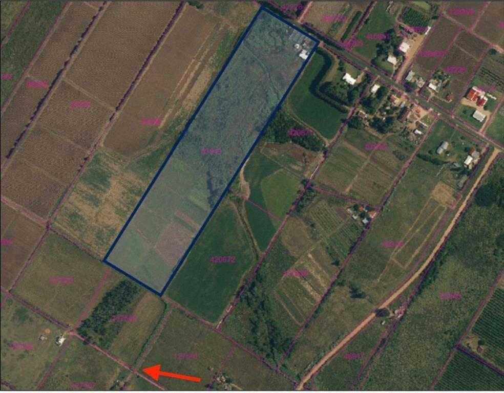VENTA DE CHACRA DE 11 HECTÁREAS ZONA PAJAS BLANCAS