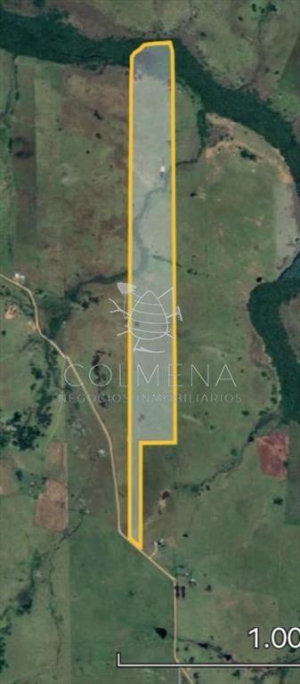 Campo de 30 has en Paso de Dutra