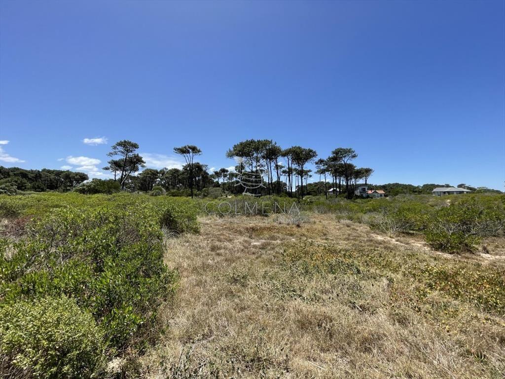 Terreno de 1050 m2 en chihuahua cerca de la
