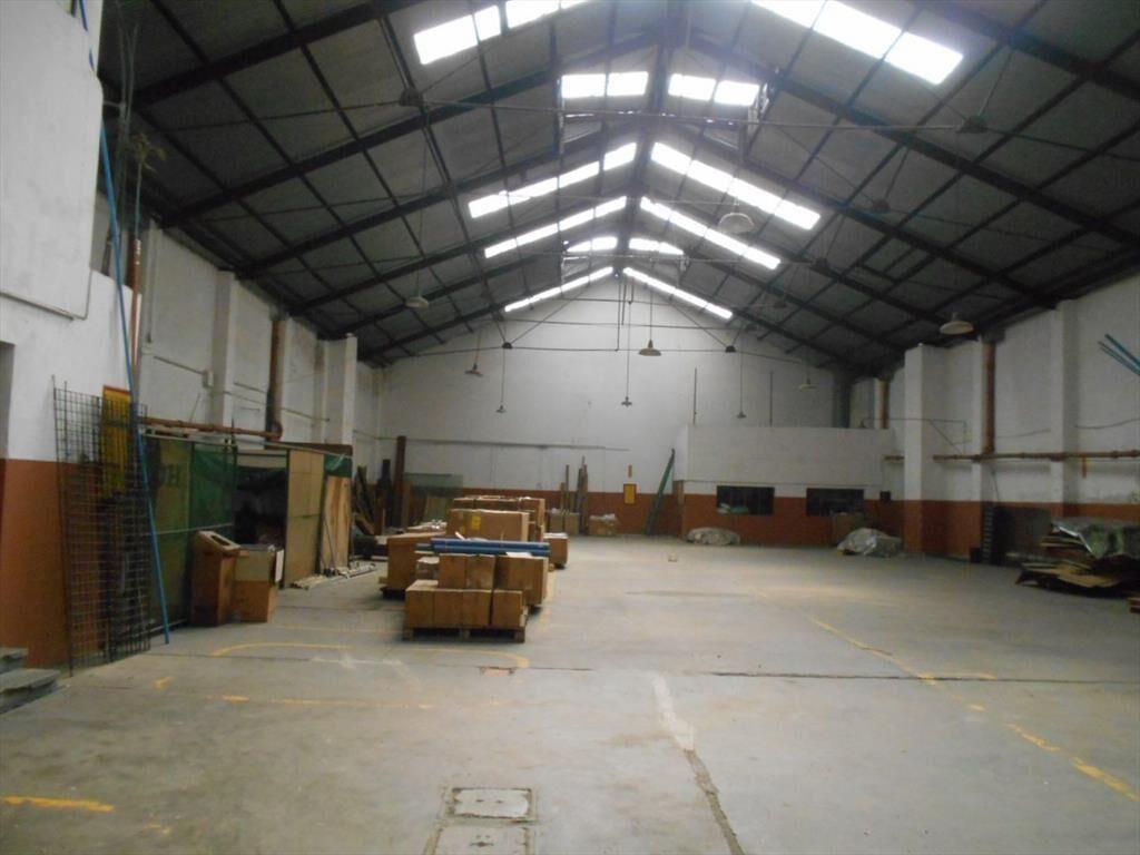 Local en Venta 1500m2 en Aguada