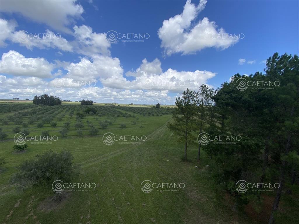 Chacra en venta 2 dormitorios - Minas