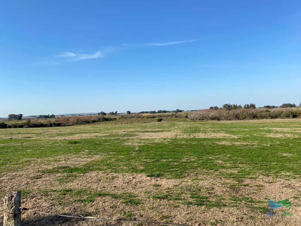 Buen campo mixto a 1 hora de Punta, buen acceso e