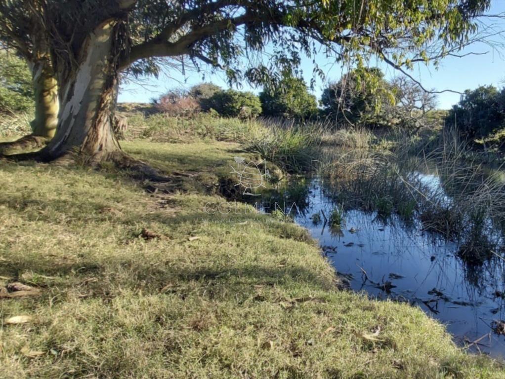 Campo en Las Garzas frente ruta y cerca del mar.