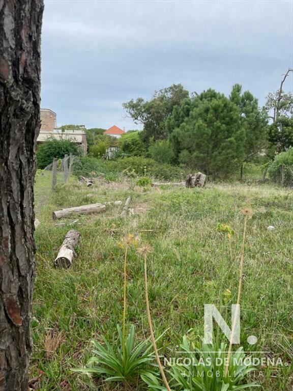 TERRENO EN MONTOYA