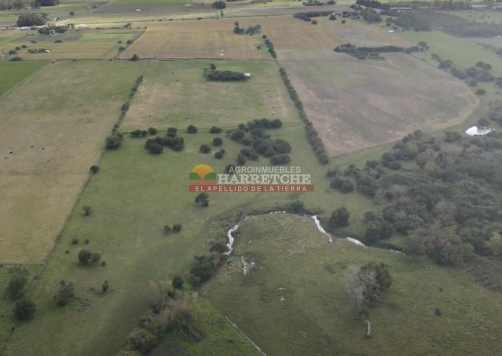 Chacra de 5 has en Los Cerrillos, cañada, muy