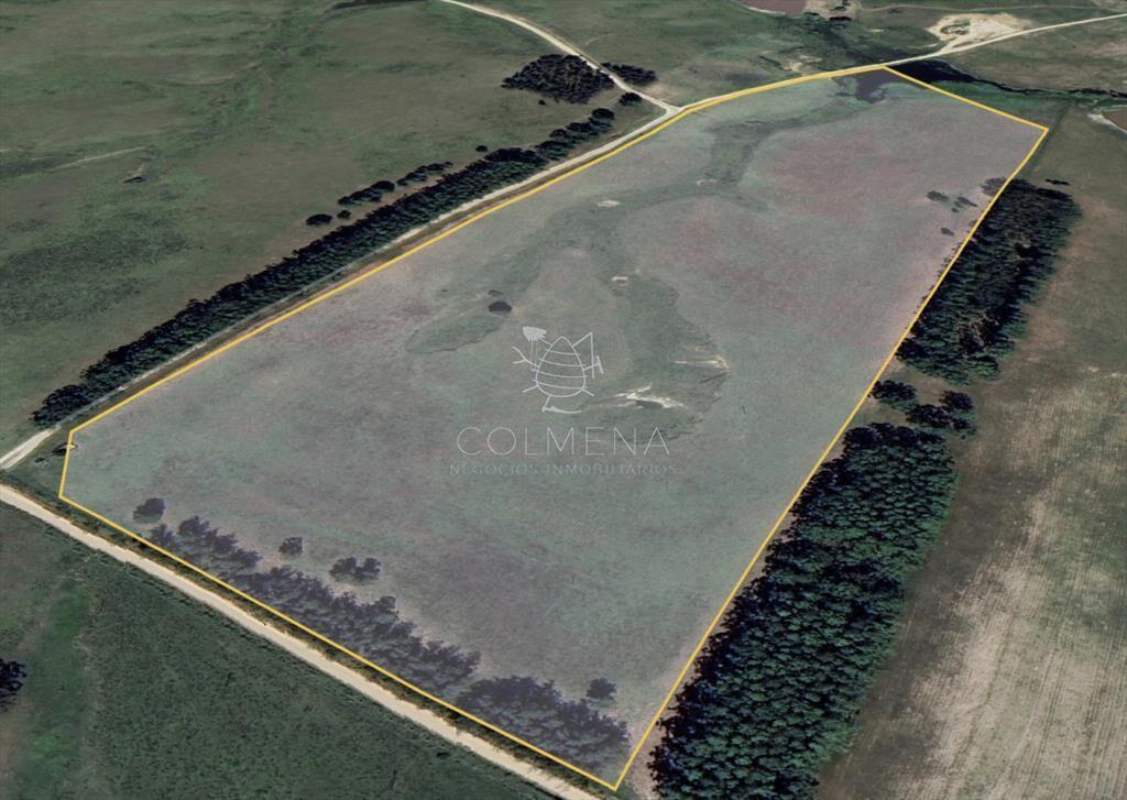 Campo de 20 has 9531 m2
