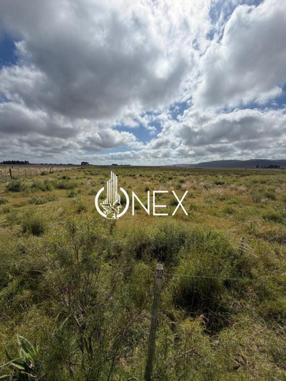 Venta de campo en Aiguá, Maldonado.