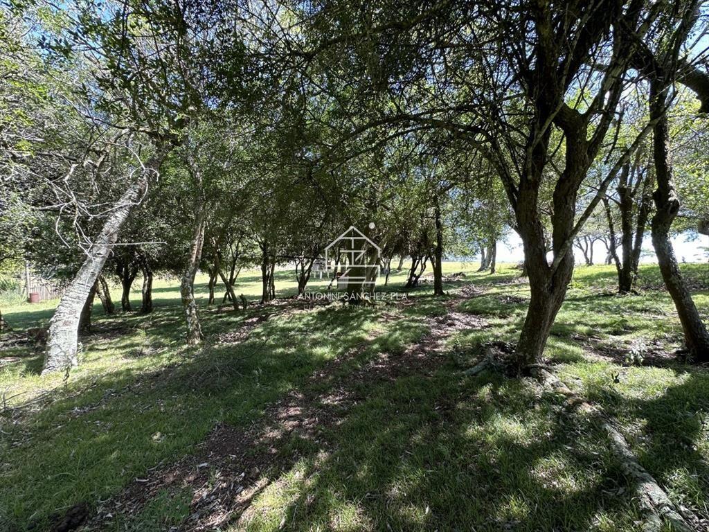 Venta chacra en Pueblo Edén. Maldonado