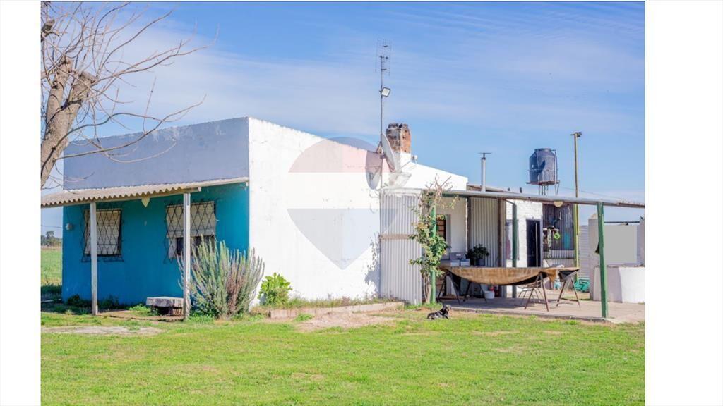 ALQUILER 2 CASAS Y CAMPO 3.7 HÁS TOTORAL DEL SAUCE