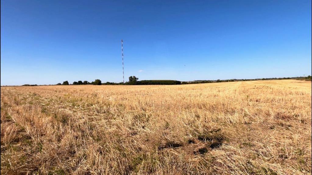 Chacra de 5has en Venta en San Pedro - Colonia