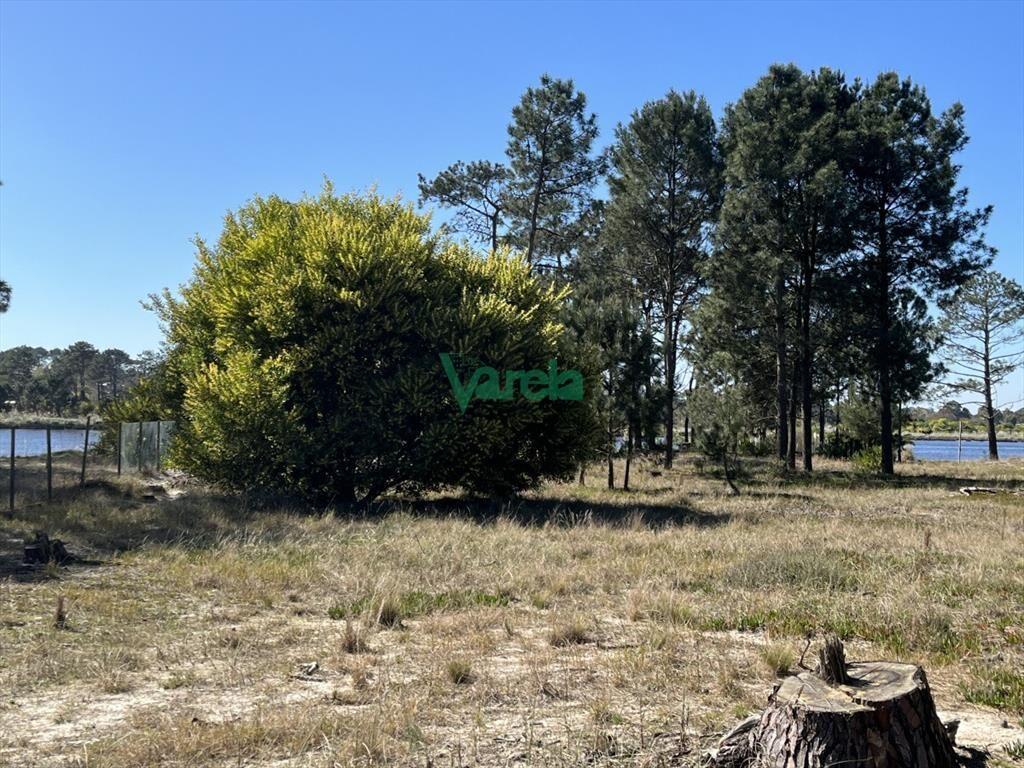 Terreno de 5608 m2 Pinar Sur , en venta .