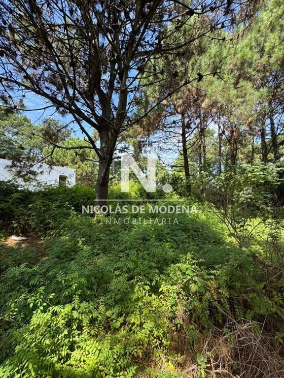 Vende terreno en Lugano, Punta del Este