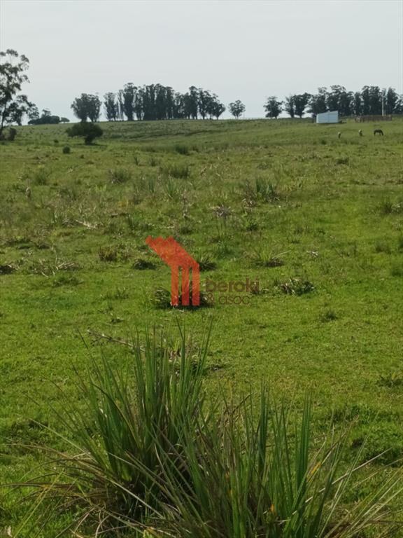 venta campo de 10hs Maldonado, Rincon de Los