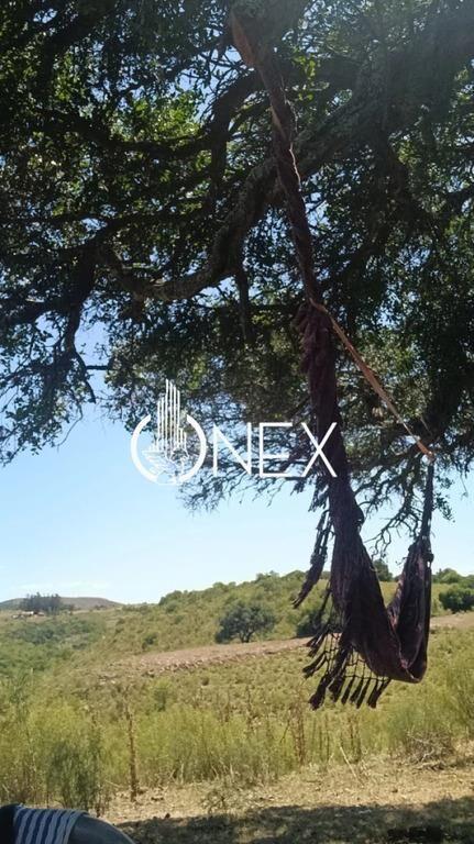 SE VENDE CHACRA DE 5 HA EN LAVALLEJA