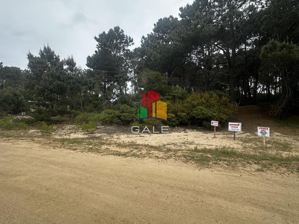 Terreno en Punta Ballena, Chihuahua