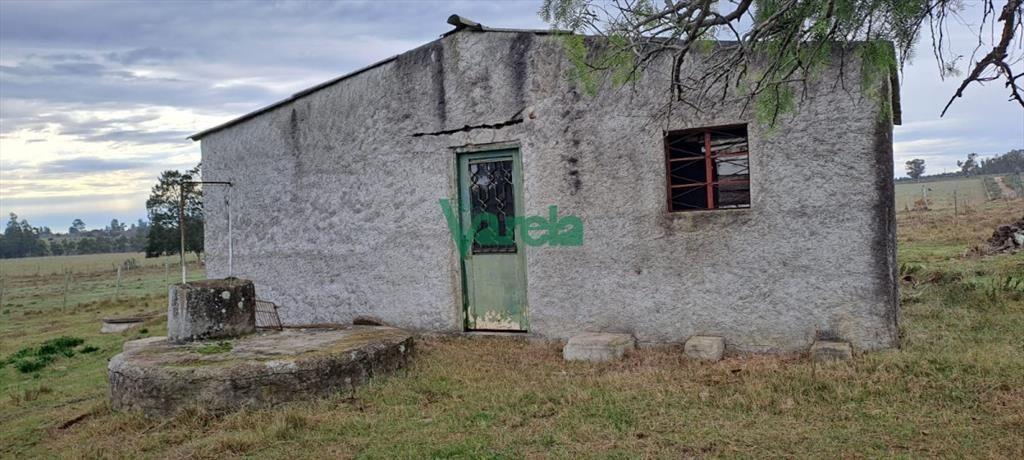 Venta de Chacra, Ruta 11, km.152, de 3,5 has. a