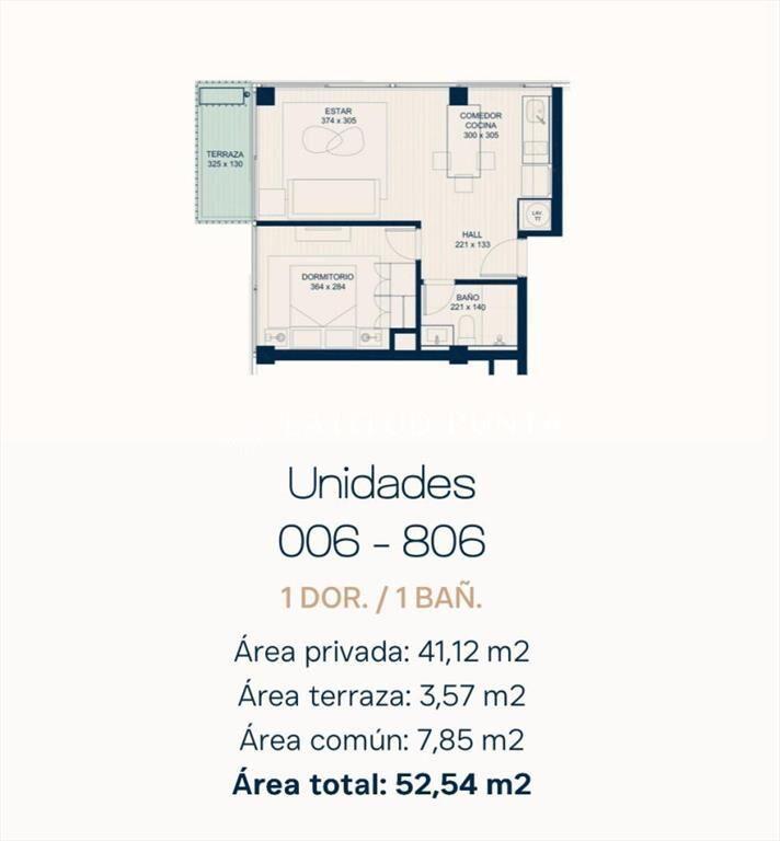 Apartamento 1 dormitorio en pozo. Roosevelt
