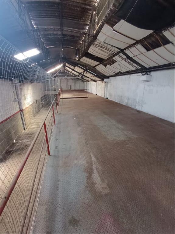 Alquiler local comercial 500m2 en Jacinto Vera