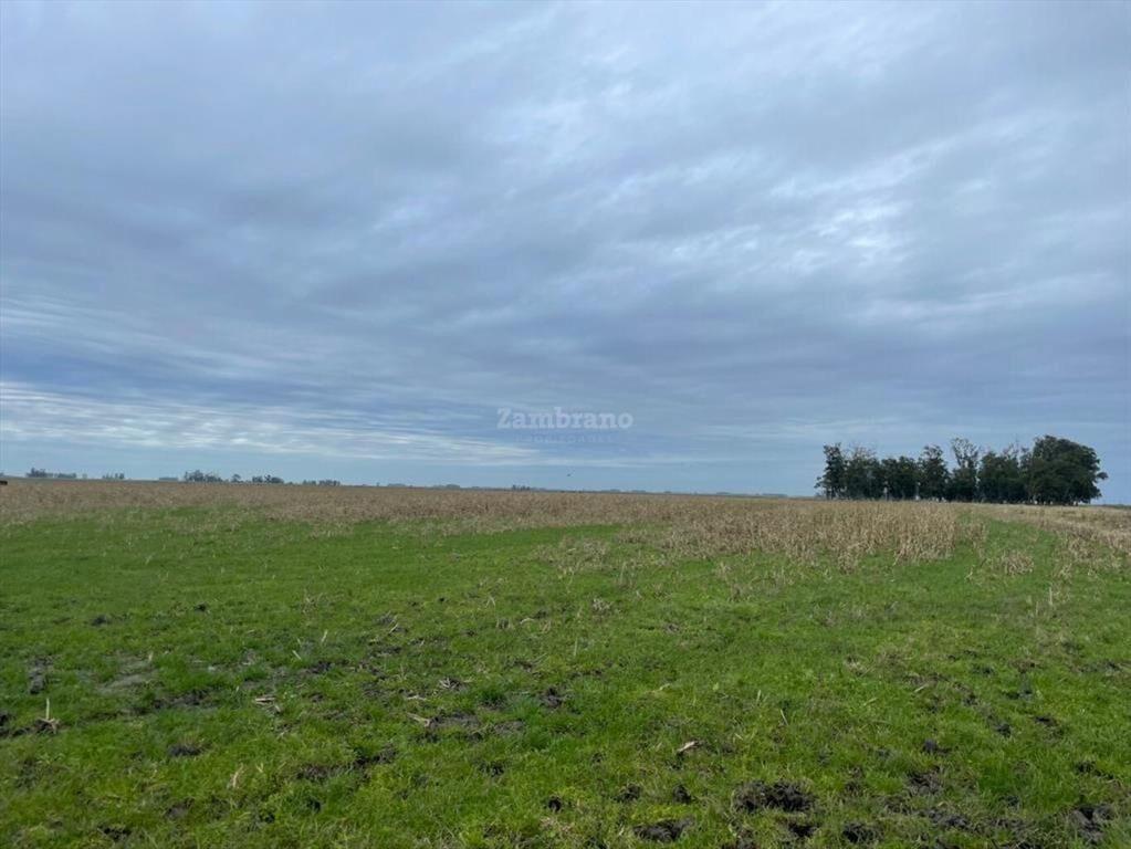 Estancia Ganadera Agrícola en Lavalleja