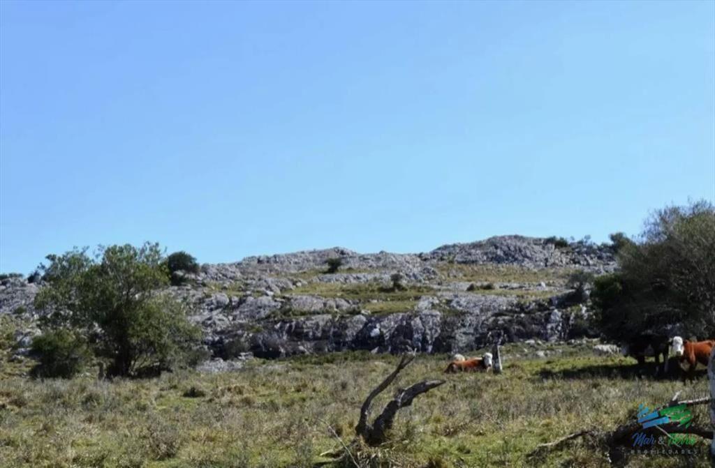 Chacras Serranas, 5 Has por $ 50.000...!!!
