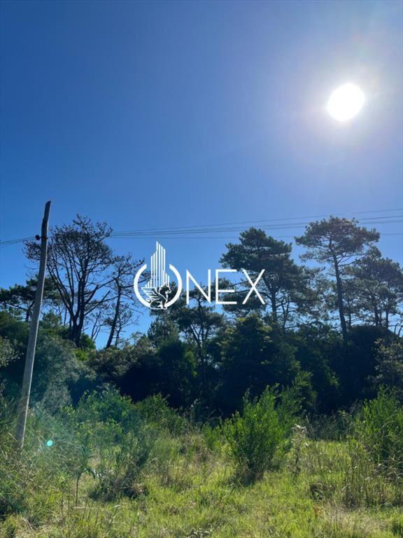 SE VENDE TERRENO EN OCEAN PARK