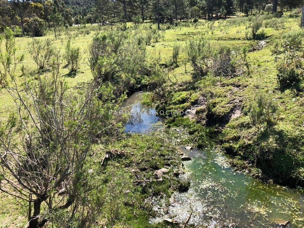Campo en venta excelente lugar