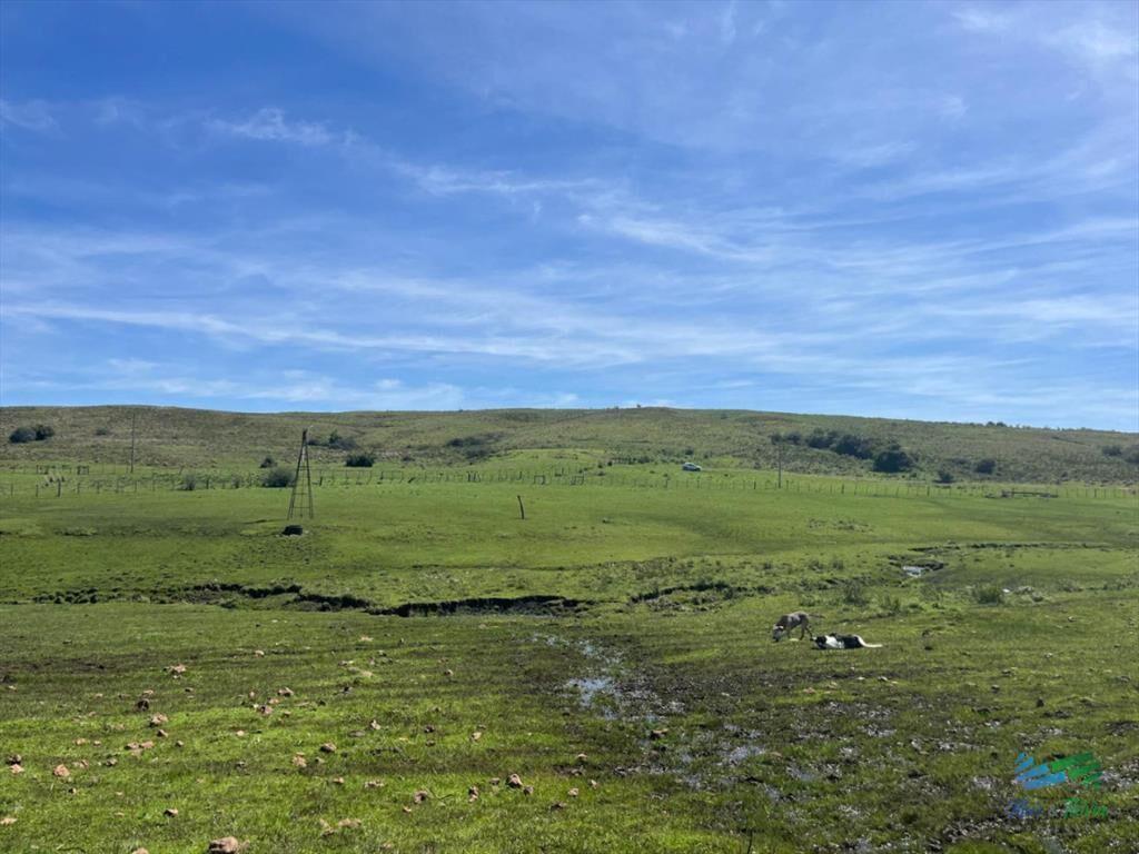 Campo ganadero a buen precio!