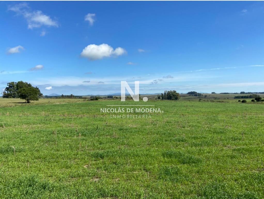 Venta Campo en Maldonado