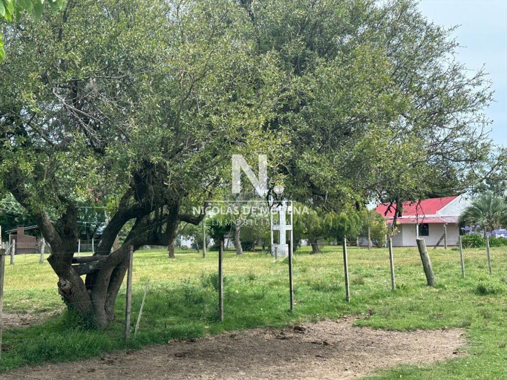 Chacra en Venta de 53 hectareas en Pan de Azucar