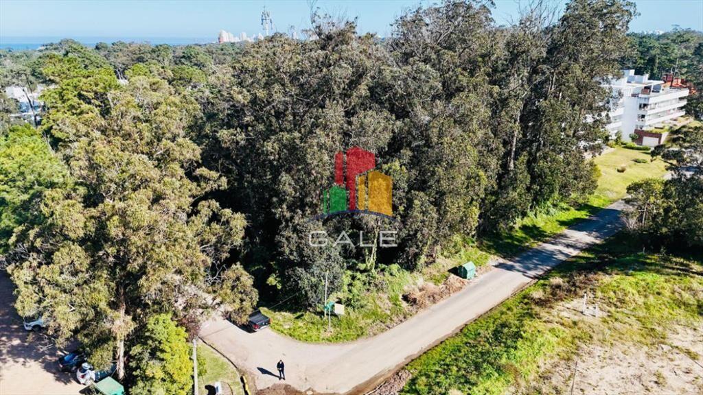 Lote apto edificio Rincon del Indio