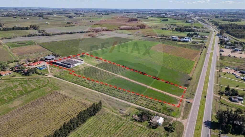 VENTA NAVE LOGÍSTICA SOBRE RUTA 5 CANELONES
