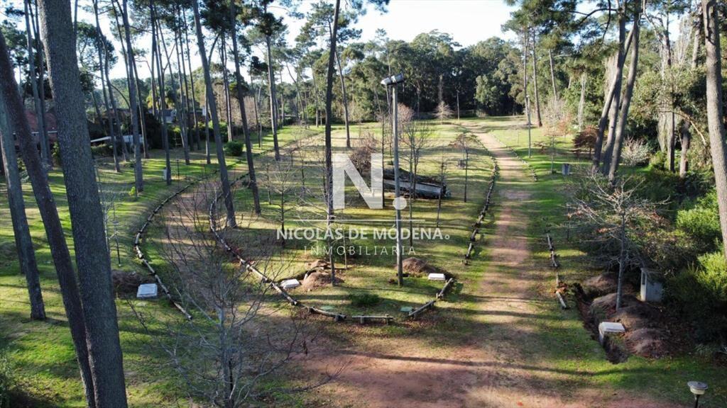Oportunidad de inversión, en Pinares Punta del