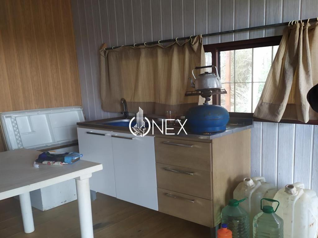 VENDO TERRENO GRANDE + CABAÑA GUAZUVIRÁ
