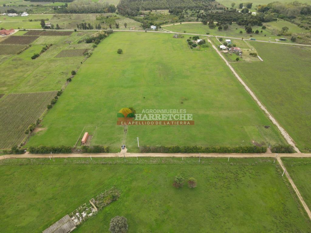 Terreno en Progreso, 360 m2 en Jardín de los (4)