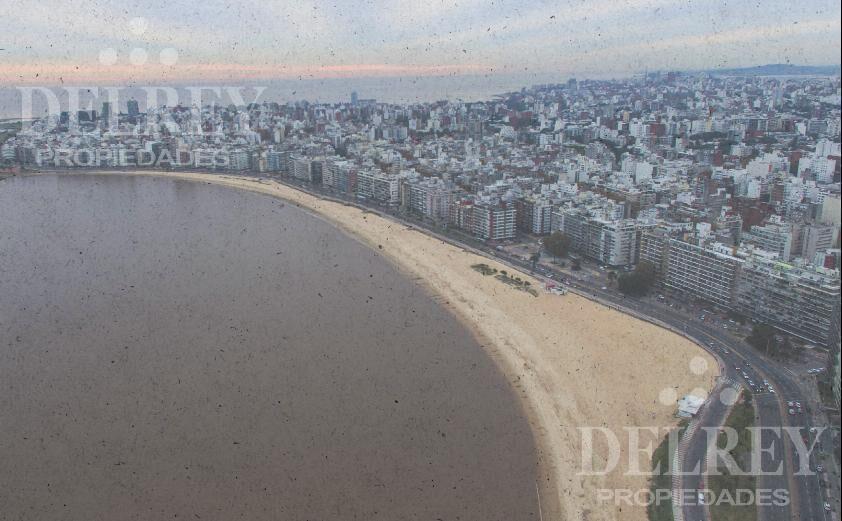 Venta Apartamento - Pocitos DELREY PROPIEDADES