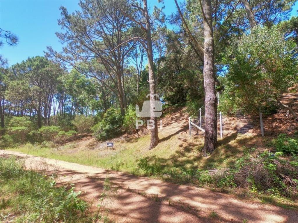 Terreno en venta Club Del Lago - Ref : PBI1367
